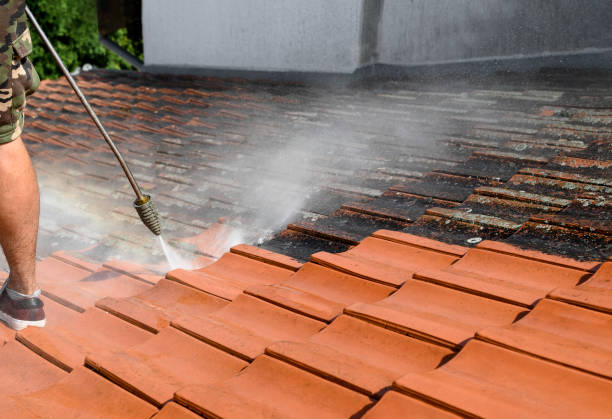 Best Sidewalk Pressure Washing  in Lockney, TX